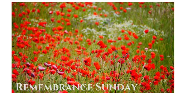 Remembrance Sunday_opt